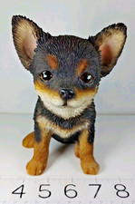 Chihuahua puppy dog for sale  Sebring