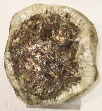 Schöne hermanover kugel gebraucht kaufen Schöne hermanover kugel gebraucht kaufen  Ahlen-Vorhelm