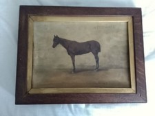 Horse for sale  WARMINSTER