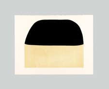 Alberto burri bianchi usato  Vasto