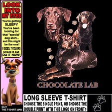 Beautiful chocolate lab d'occasion  Expédié en Belgium