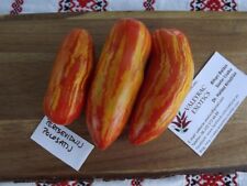 Pomodoro forma peperone usato  Spedire a Italy