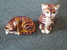 Chats royal crown d'occasion  Châteauroux