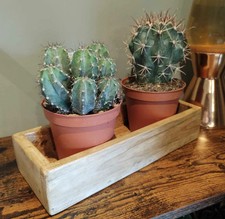 Rustic planter tray for sale  LEEDS