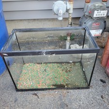 Gallon fish aquarium for sale  Danvers