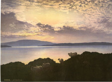 Eventide vintage photochromie d'occasion  Pagny-sur-Moselle