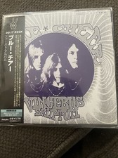 Vincebus eruptum blue for sale  San Antonio