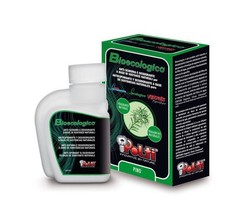 Polti bioecologico pino usato  Torcegno