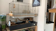 Doppelstöckiger xxl kaninchen gebraucht kaufen  Gernsbach