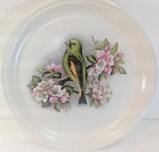 Barratts staffordshire plates for sale  ISLE OF BUTE