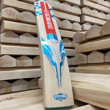 Gray nicolls cricket for sale  ROBERTSBRIDGE