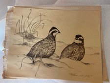 Vintage quail print for sale  Vashon