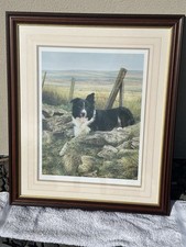 Steve townsend limited for sale  PRESTON