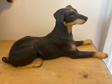 Doberman pinscher dog for sale  ROSS-ON-WYE