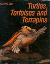 Turtles tortoises terrapins for sale  El Dorado