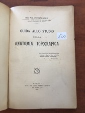 Anile guida allo usato  Napoli