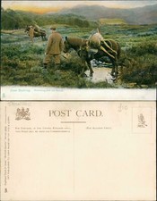 Deer stalking returning for sale  MANCHESTER