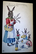 Dressed mama rabbit for sale  Saint Augustine