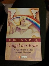 Engel erde geistigen gebraucht kaufen  Nittel