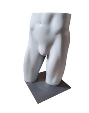 Fusion mannequin male for sale  Boulder