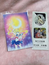 Usado, Sailor Moon, ilustração original do Museu de Arte Yayoi, 3 cartões postais comprar usado  Enviando para Brazil