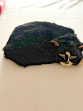 taxidermy cat for sale taxidermy cat for sale NORWICH