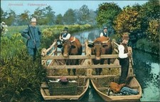 Ansichtskarte spreewald viehtr gebraucht kaufen  Eggenstein-Leopoldshafen
