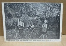 Voiture chien mutilé d'occasion  Sancerre