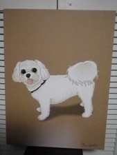 Maltese dog portrait for sale  Saint Benedict