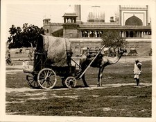 Ga285 approx 1920s d'occasion  Expédié en Belgium