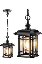 Vianis outdoor pendant for sale  Fayetteville