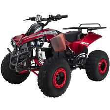 Midiquad miniquad atv gebraucht kaufen  Breitengüßbach