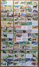 Original boards paintings for sale  GLASTONBURY