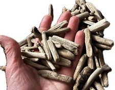 100 tiny driftwood for sale  Aptos