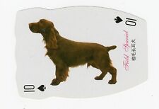 Field spaniel single for sale  COLEFORD