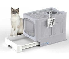 Large hooded cat for sale  LONDON