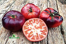 Tomate mar azul gebraucht kaufen  Recklinghausen