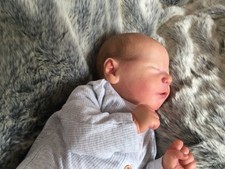 Chase bonnie brown for sale  SOUTHEND-ON-SEA