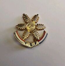 Broche ski esf d'occasion  Lésigny