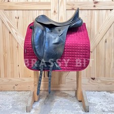 Bates isabell buffalo for sale  Glyndon