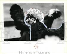 1979 press photo for sale  Memphis