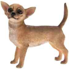 Leonardo tan chihuahua for sale  GRANTHAM