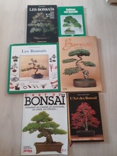Bonsais superbe lot d'occasion  Lizy-sur-Ourcq