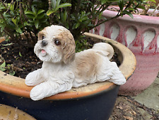 Vivid arts shih for sale  CRADLEY HEATH