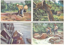 Sammelbilder sanella bilder gebraucht kaufen  Hannover