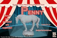 Penny micro resin for sale  Sheboygan