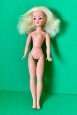 1971 sindy doll for sale  WORCESTER