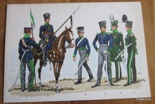 Planche uniforme schäfer d'occasion Planche uniforme schäfer d'occasion  Dornecy