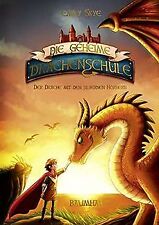 Geheime drachenschule drache gebraucht kaufen  Berlin