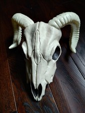 Crazy bonez rams for sale  ST. NEOTS
